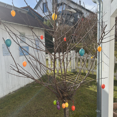 Wir schmücken den Garten Wir schmücken den Garten