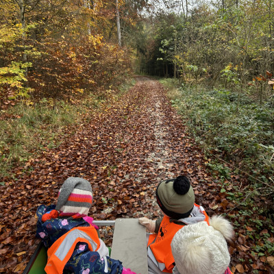 Wir gehen sehr oft in den Wald Wir gehen sehr oft in den Wald