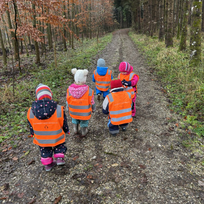 Waldweihnacht für die Tiere Waldweihnacht für die Tiere
